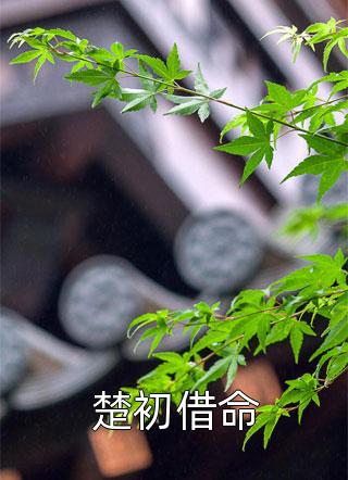 全集阅读开局离婚，赚下亿万重追老婆